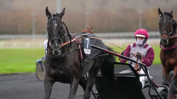 Foto: THOMAS BLOMQVIST / TR BILD