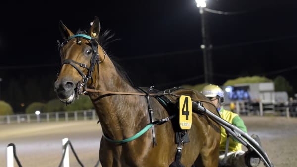 Foto: LARS JAKOBSSON / TR BILD