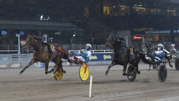 Foto: LARS JAKOBSSON / TR BILD