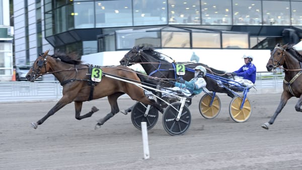 Foto: LARS JAKOBSSON / TR BILD