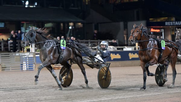 Foto: LARS JAKOBSSON / TR BILD