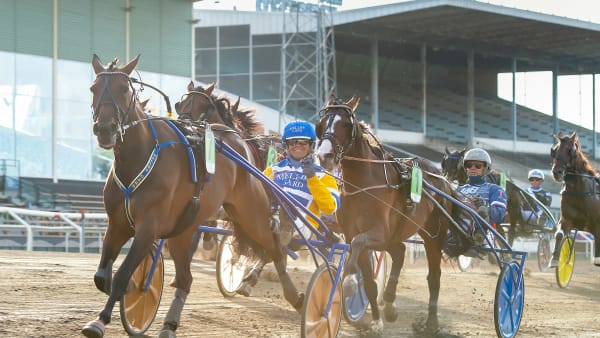 Foto: MIKAEL ROSENQUIST / TR BILD