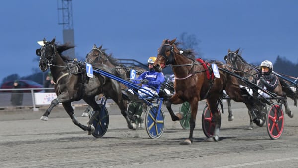 Foto: LARS JAKOBSSON / TR BILD