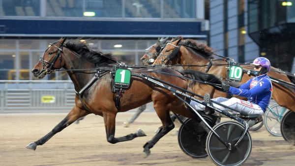 Foto: LARS JAKOBSSON / TR BILD