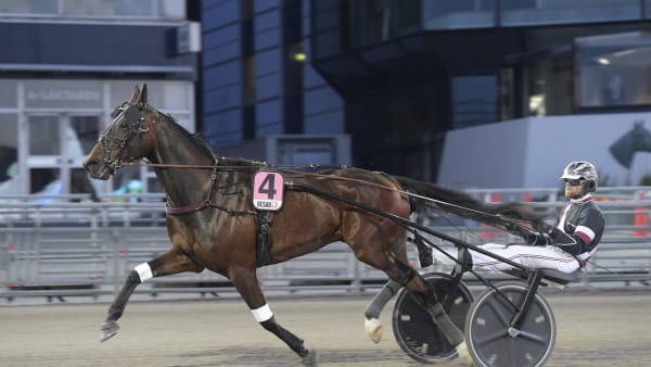 Foto: LARS JAKOBSSON / TR BILD