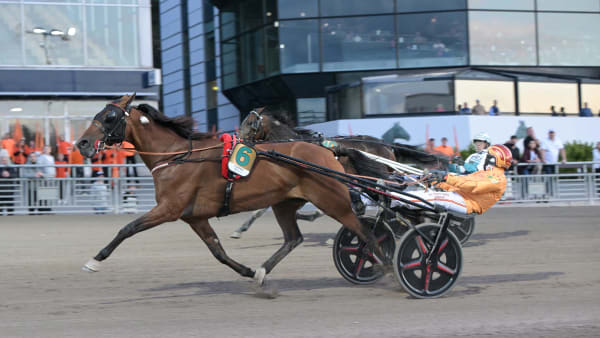 Foto: LARS JAKOBSSON / TR BILD