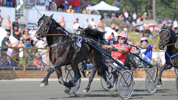 Foto: MALIN ALBINSSON / TR BILD