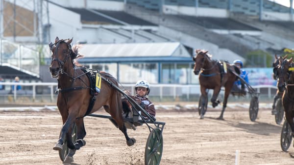 Foto: MIKAEL ROSENQUIST / TR BILD