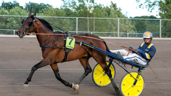 Foto: MIKAEL ROSENQUIST / TR BILD