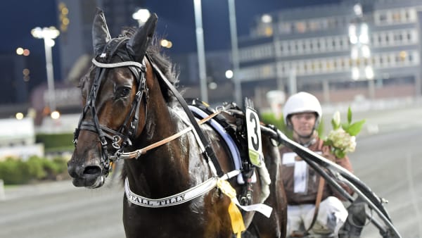 Foto: LARS JAKOBSSON / TR BILD