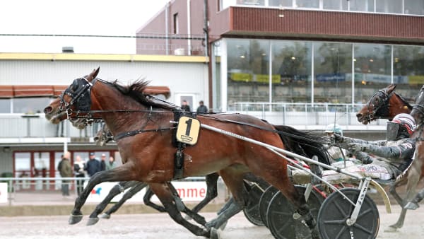 Foto: MARIA HOLMÉN / TR BILD