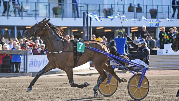 Foto: MALIN ALBINSSON / TR BILD