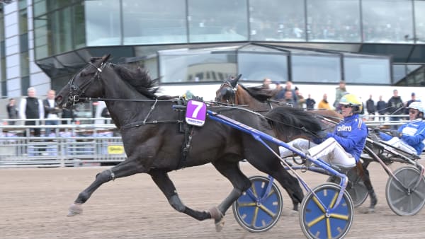 Foto: LARS JAKOBSSON / TR BILD