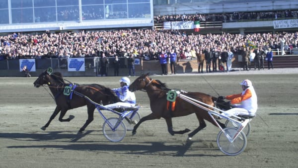 Foto: CLAES KÄRRSTRAND