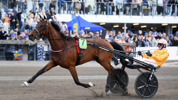 Foto: MALIN ALBINSSON / TR BILD