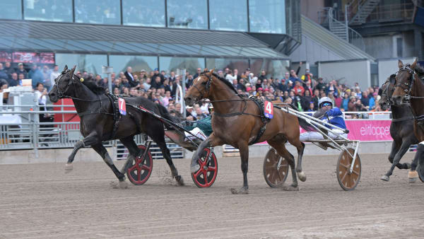 Foto: LARS JAKOBSSON / TR BILD