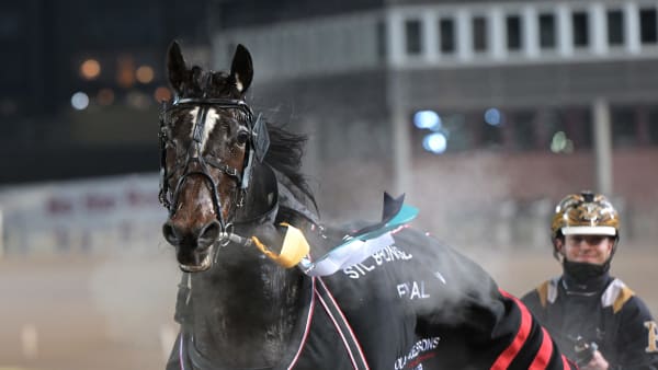 Foto: LARS JAKOBSSON / TR BILD