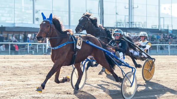 Foto: MIKAEL ROSENQUIST / TR BILD