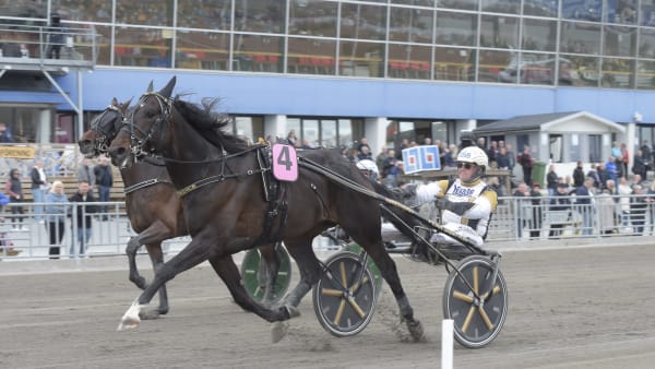 Foto: LARS JAKOBSSON/TR BILD