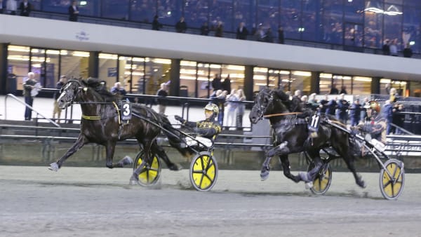 Foto: Anders Kongsrud/www.hesteguiden.com.