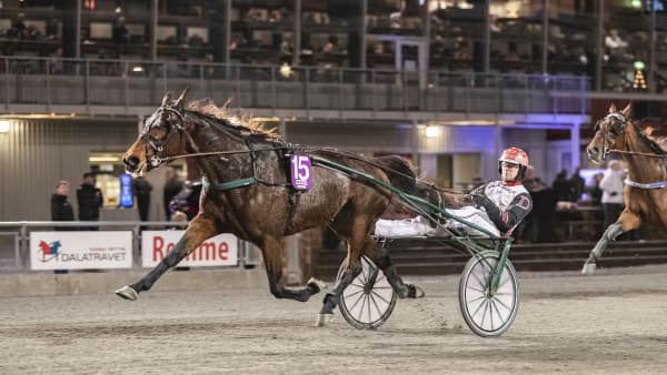 Foto: LENA EMMOTH / TR BILD