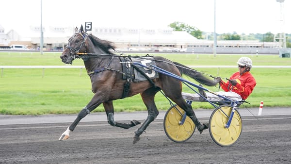 Foto: THOMAS BLOMQVIST / TR BILD