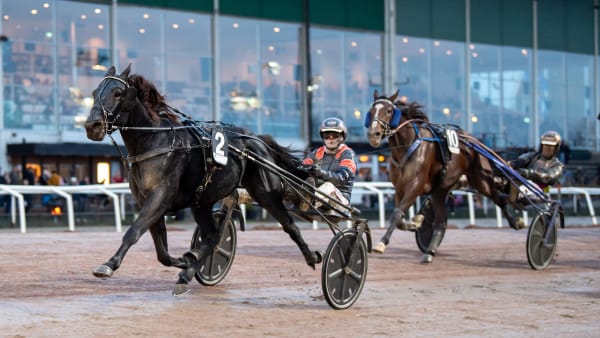 Foto: MIKAEL ROSENQUIST / TR BILD