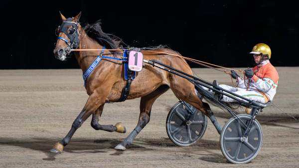 Foto: MIKAEL ROSENQUIST / TR BILD