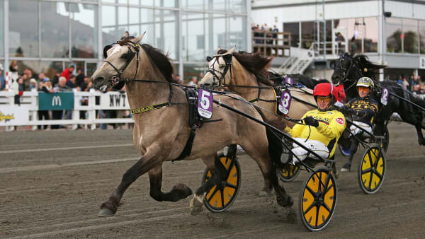 Foto: MATILDA ÖHRMAN / TR BILD