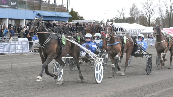 Foto: LARS JAKOBSSON / TR BILD