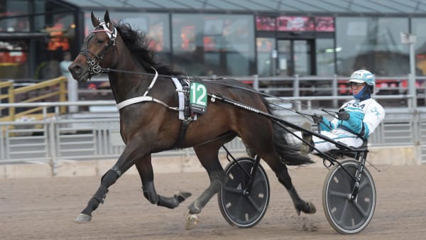 Foto: LARS JAKOBSSON / TR BILD