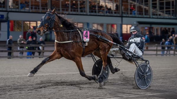 Foto: MIKAEL ROSENQUIST / TR BILD