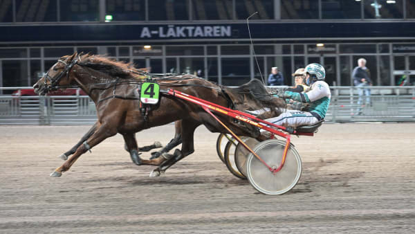 Foto: LARS JAKOBSSON / TR BILD