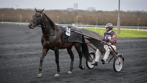 Foto: BRUNO VANDEVELDE/LE TROT