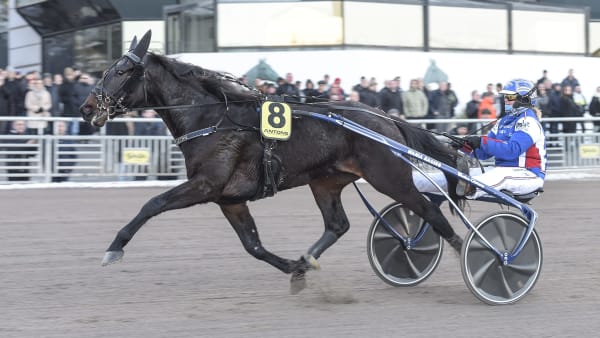 Foto: LARS JAKOBSSON/TR BILD