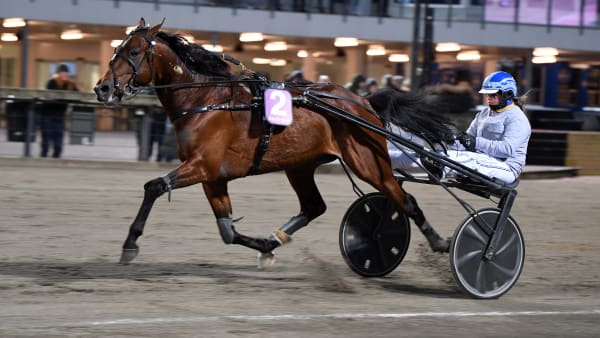 Foto: MALIN ALBINSSON / TR BILD