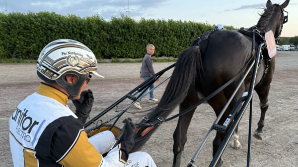 Foto: Rickard Hansson/TR BILD