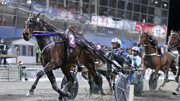 Foto: MARIA HOLMÉN / TR BILD