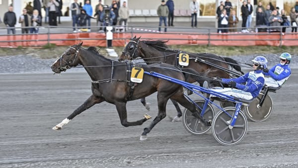 Foto: JENNY REHNMAN / TR BILD