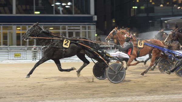 Foto: LARS JAKOBSSON / TR BILD