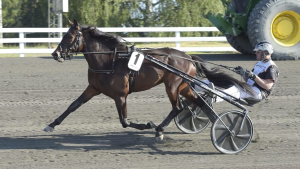 Foto: LARS JAKOBSSON / TR BILD