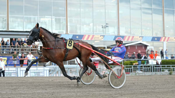 Foto: MARIA HOLMÉN / TR BILD