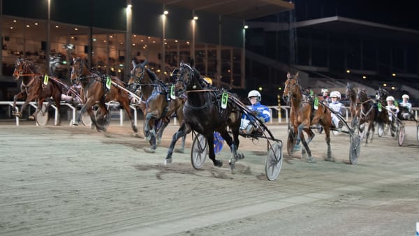 Foto: MIKAEL ROSENQUIST / TR BILD