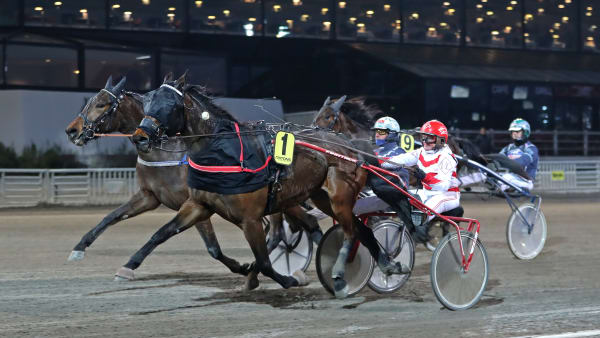 Foto: MARIA HOLMÉN / TR BILD