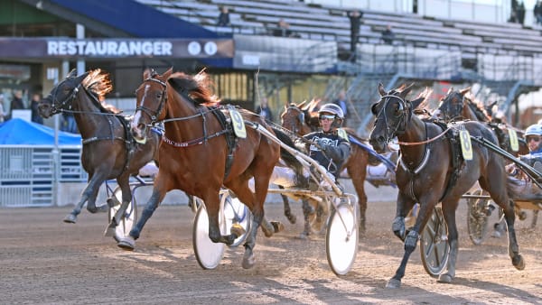 Foto: MARIA HOLMÉN / TR BILD