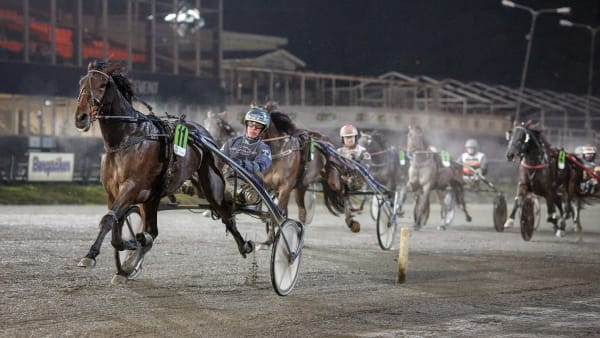 Foto: DAVID SCHREINER / TR BILD