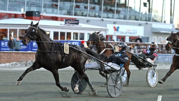 Foto: MARIA HOLMÉN / TR BILD