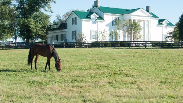 Foto: THOMAS BLOMQVIST / TR BILD