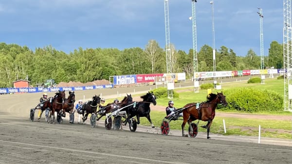 Foto: Mattias Holmgren