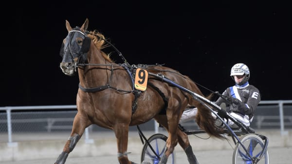 Foto: LARS JAKOBSSON / TR BILD